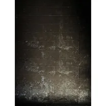 bresser-br-f1440-achtergrond-180x250cm.jpg