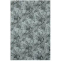 bresser-br-y0870-uitwasbaar-doek-3x6m.jpg
