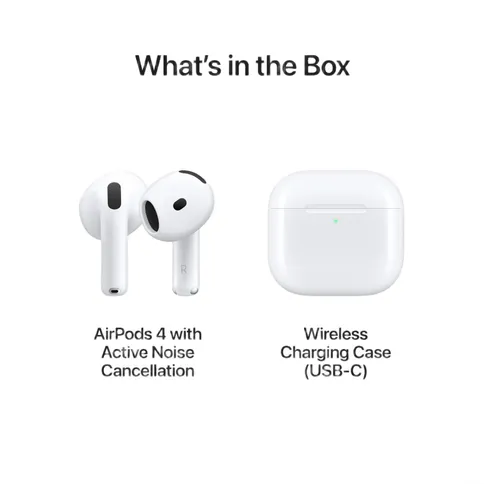 apple-ap4-nc-9.jpg