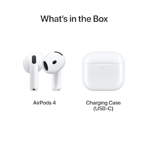 apple-ap4-nc-9.jpg
