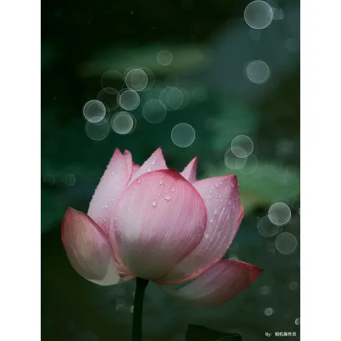TTArtisan_100mm_2.8_6.jpg
