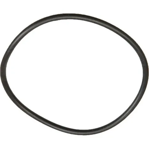 Panasonic-vervangende-O-ring-voor-onderwaterbehuizing_1.jpg