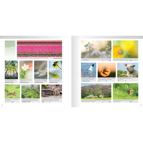 Voorbeeldfotos_praktijkboek_natuurfotografie_jaarrond.jpg