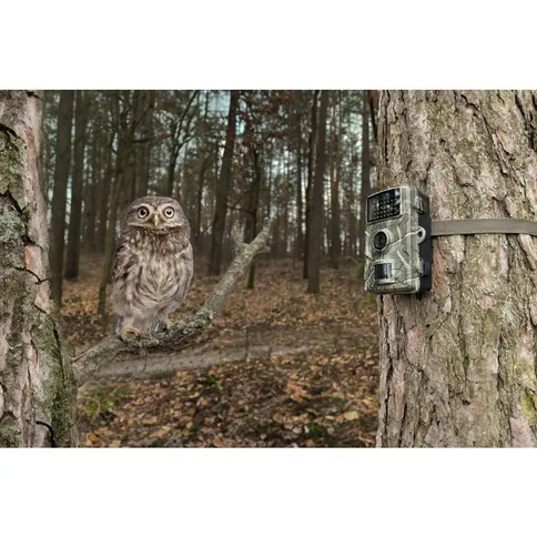 Technaxx_Wildcam_1080p_TX-256_7.jpg