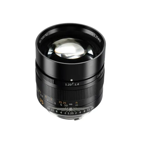 75mm_1.25_leicam_4.jpg