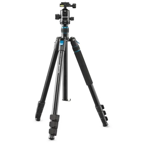 Cullmann-Rondo-480M_1.jpg