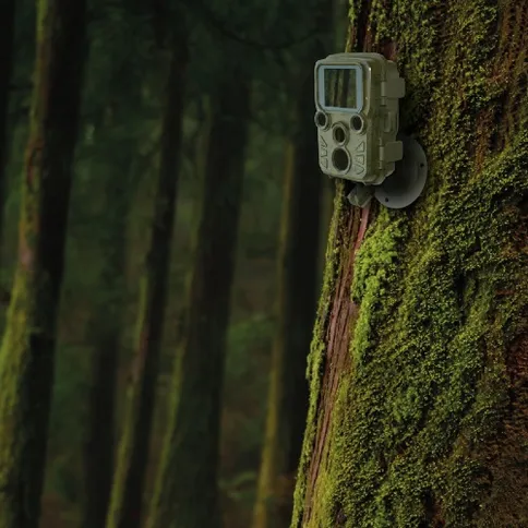 Braun_800mini-5.jpg