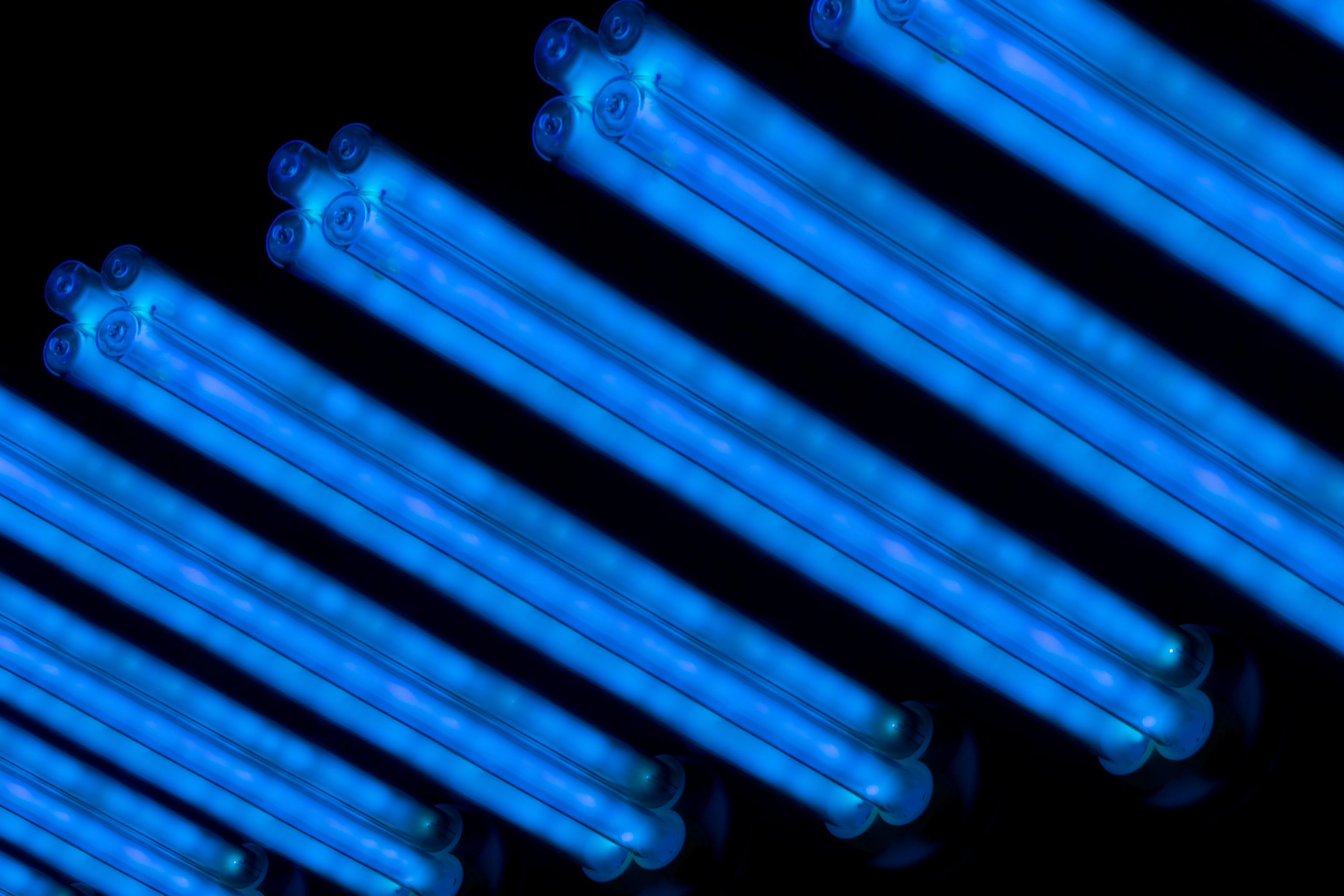AdobeStock_346081706.jpeg