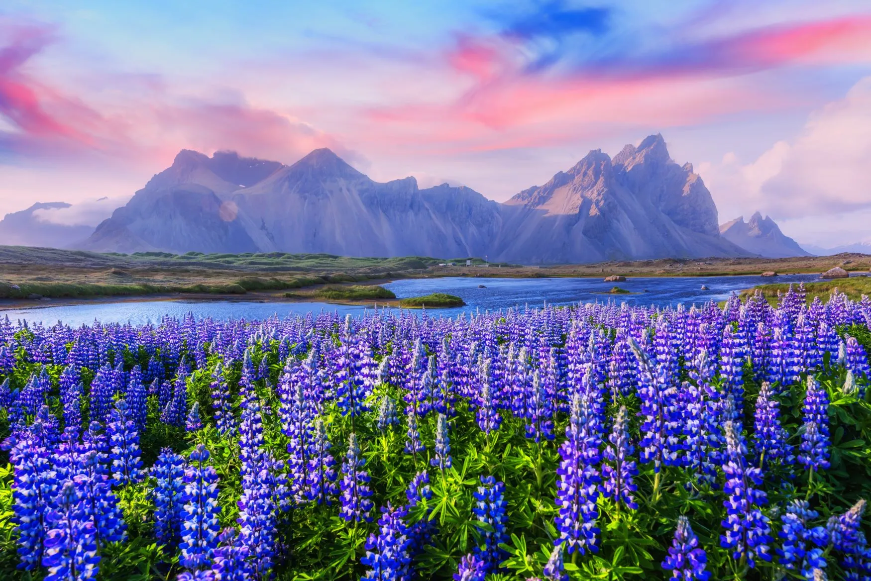 AdobeStock_144153144.jpg