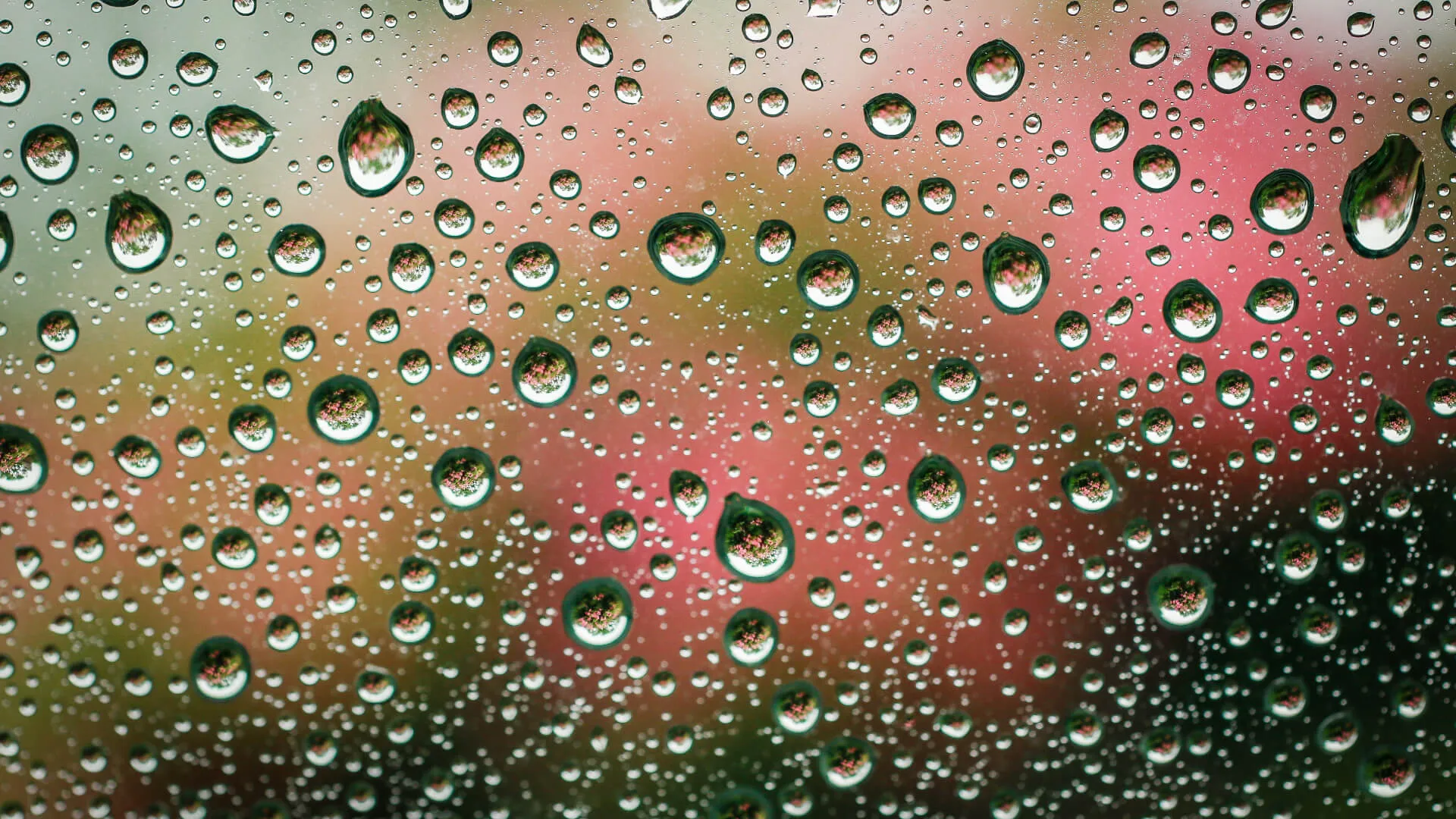 reflectie-in-druppels-fotograferen_4.jpg