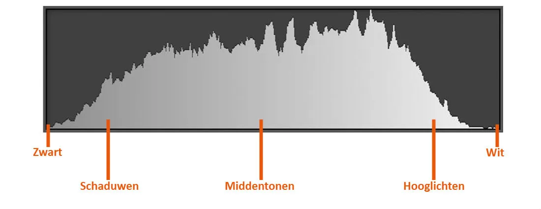 Voorbeeld_histogram2.jpg