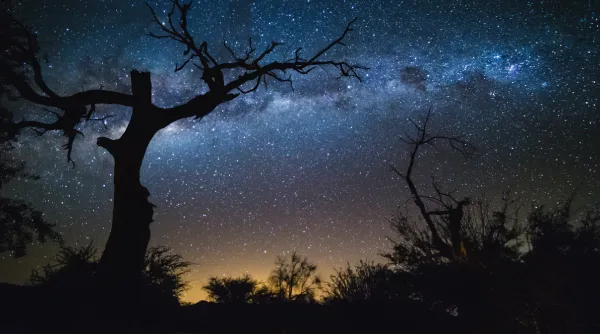 LU-astrolocaties-park-our-8.webp