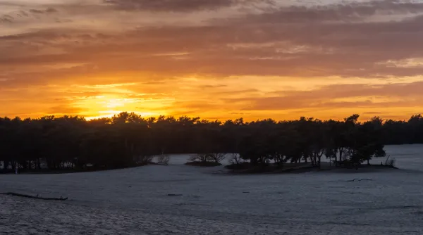 NL-astrolocaties-loonse-duinen-3.webp