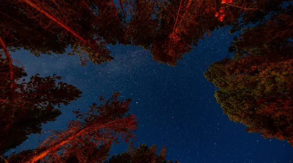 BE-astrolocaties-vinne-3.webp