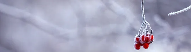 winter_locaties_banner.jpg
