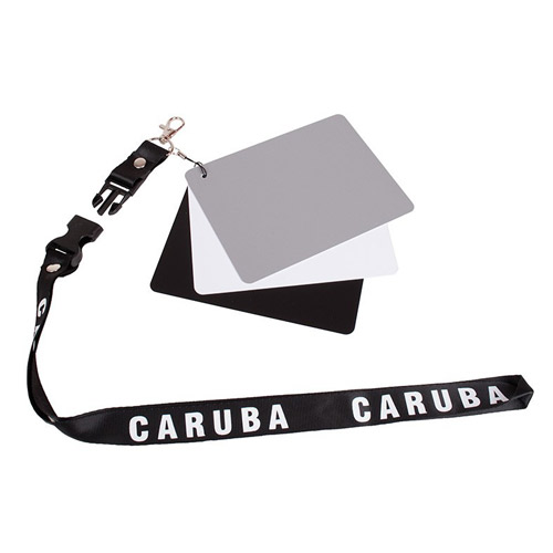 Charte De Gris Caruba DGC-2 Numérique