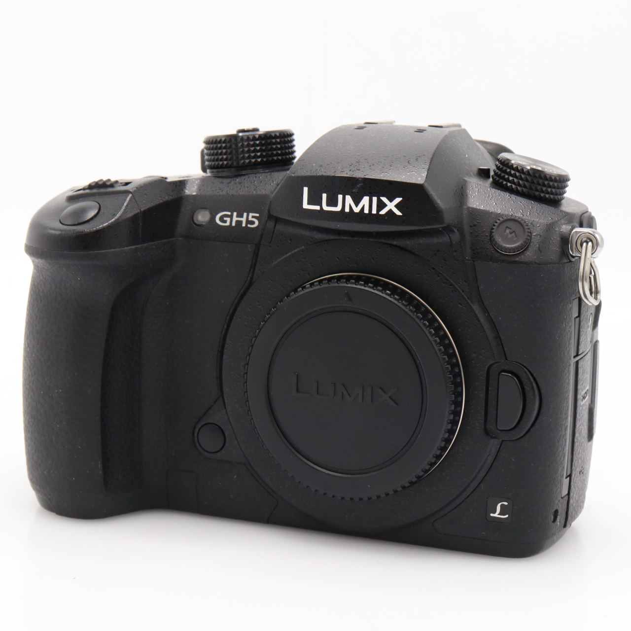 Panasonic Lumix DMC-GH5 boîtier occasion