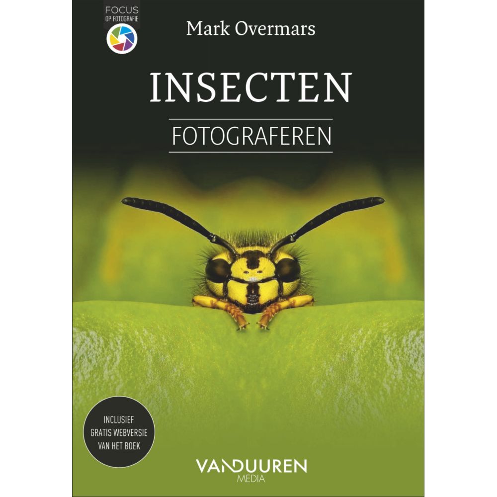 Photographier des insectes