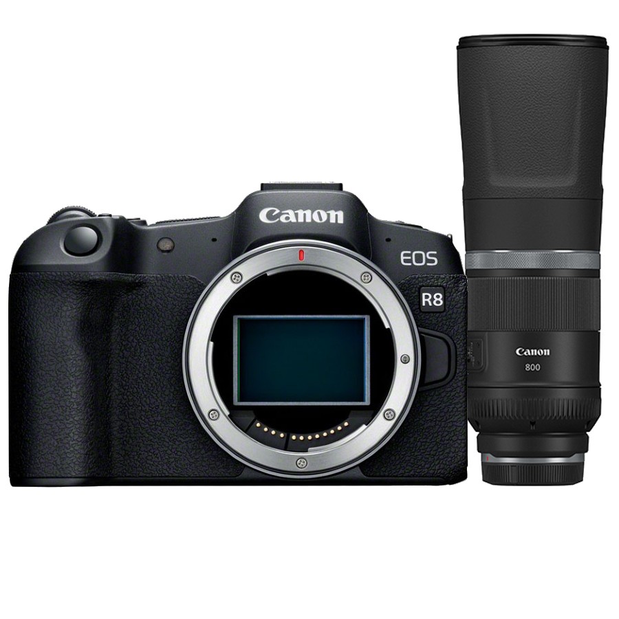 Canon EOS R8 + RF 800mm F/11.0 IS STM